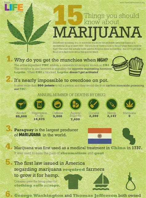 Did You Know? 10 Interesting Cannabis Facts You May or May Not Know